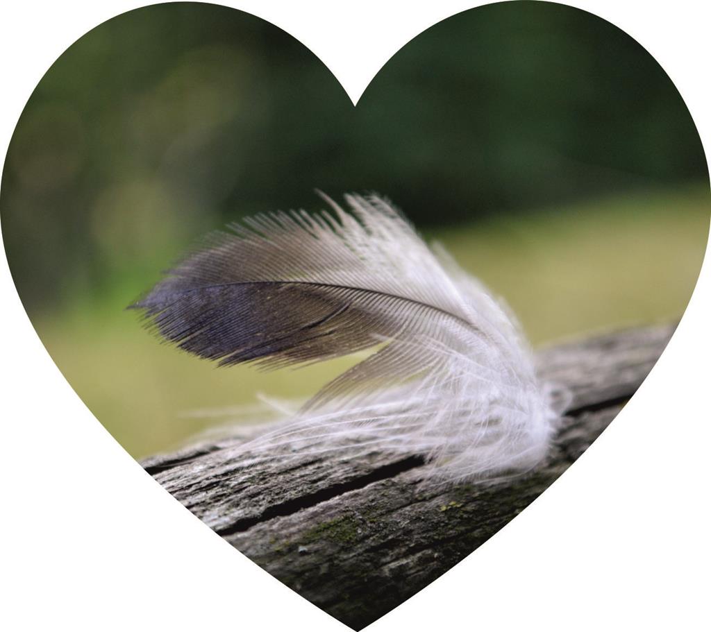 Folienemblem 'Herz - Feder'