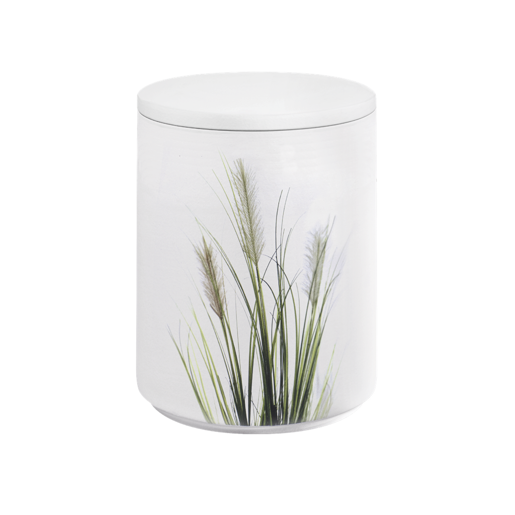 Keramikurne, AQUA FLORA, Binsen