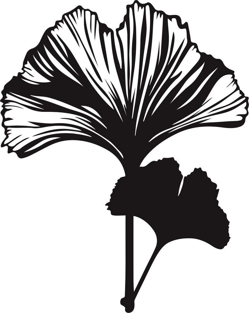 Foliebemblem 'Ginko', gold