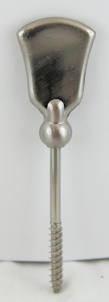 Sargschraube 41G Feinzinkguss, edelstahl-galv.