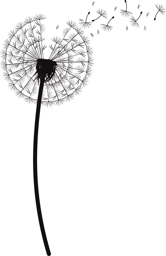 Foliebemblem 'Pusteblume'